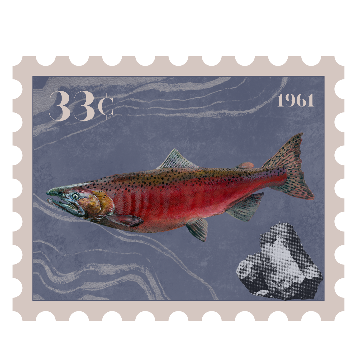 Fish of the Week: the chinook salmon