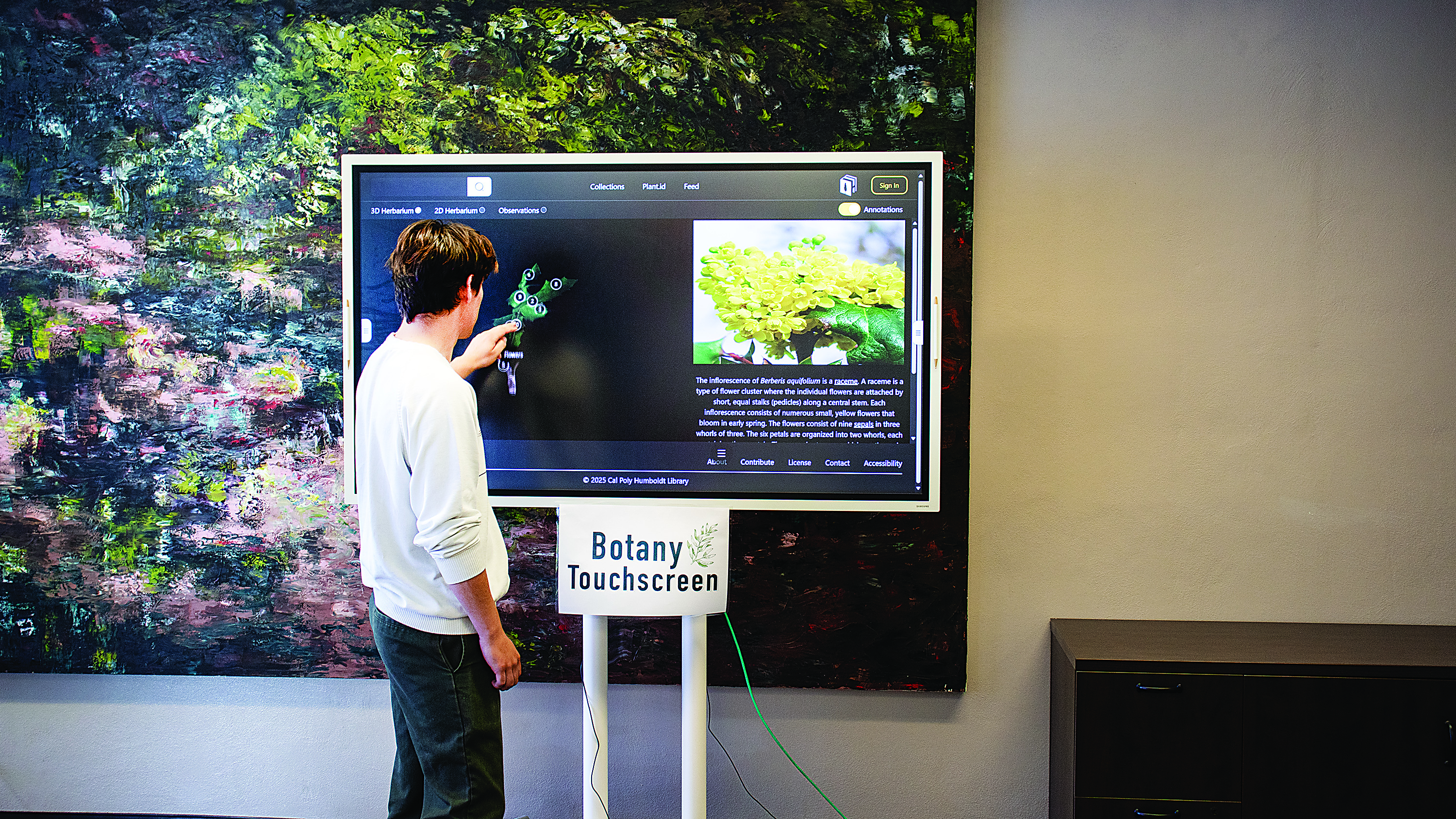 Bringing plants to life: library’s interactive 3D herbarium