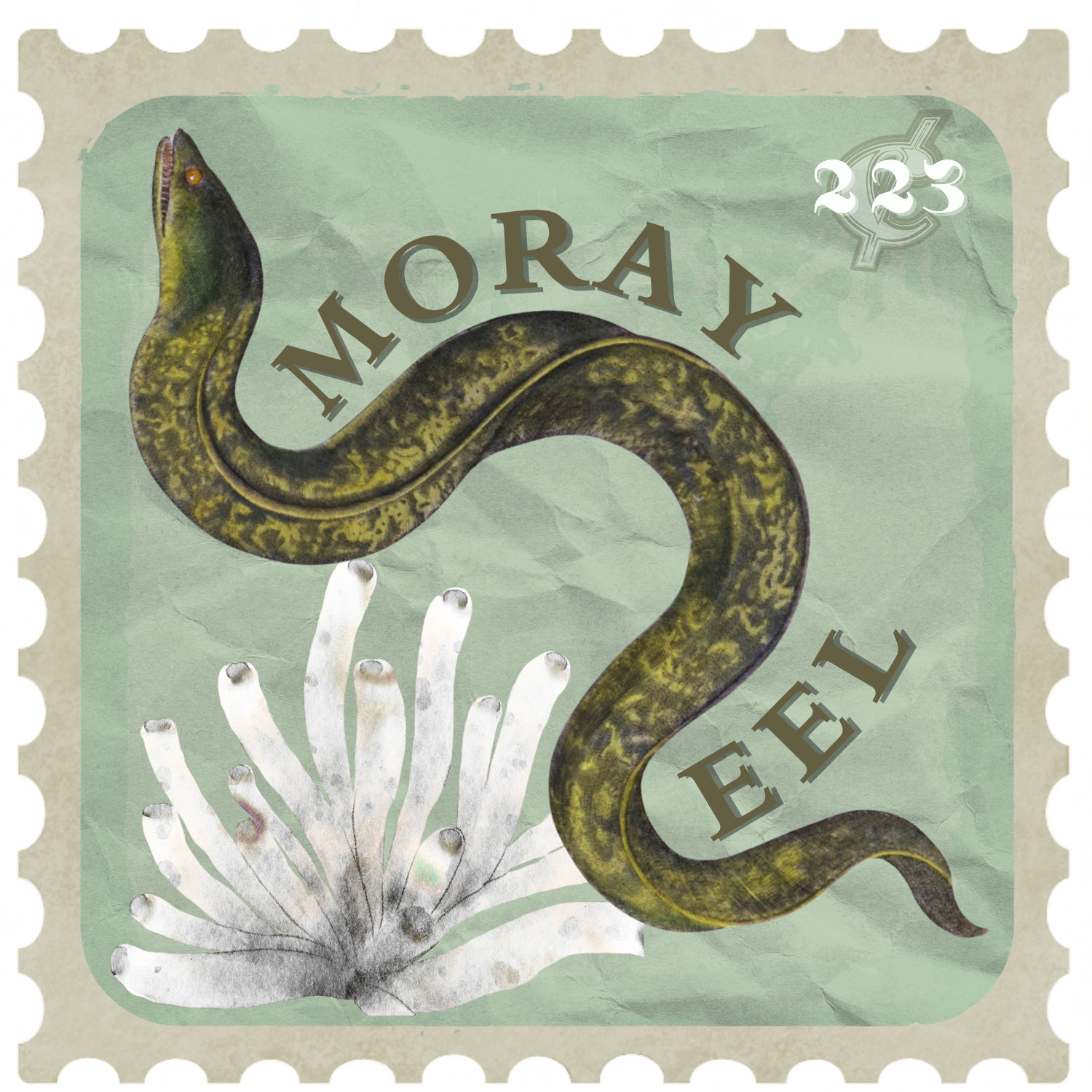  Fish of the week: moray eels are fish too