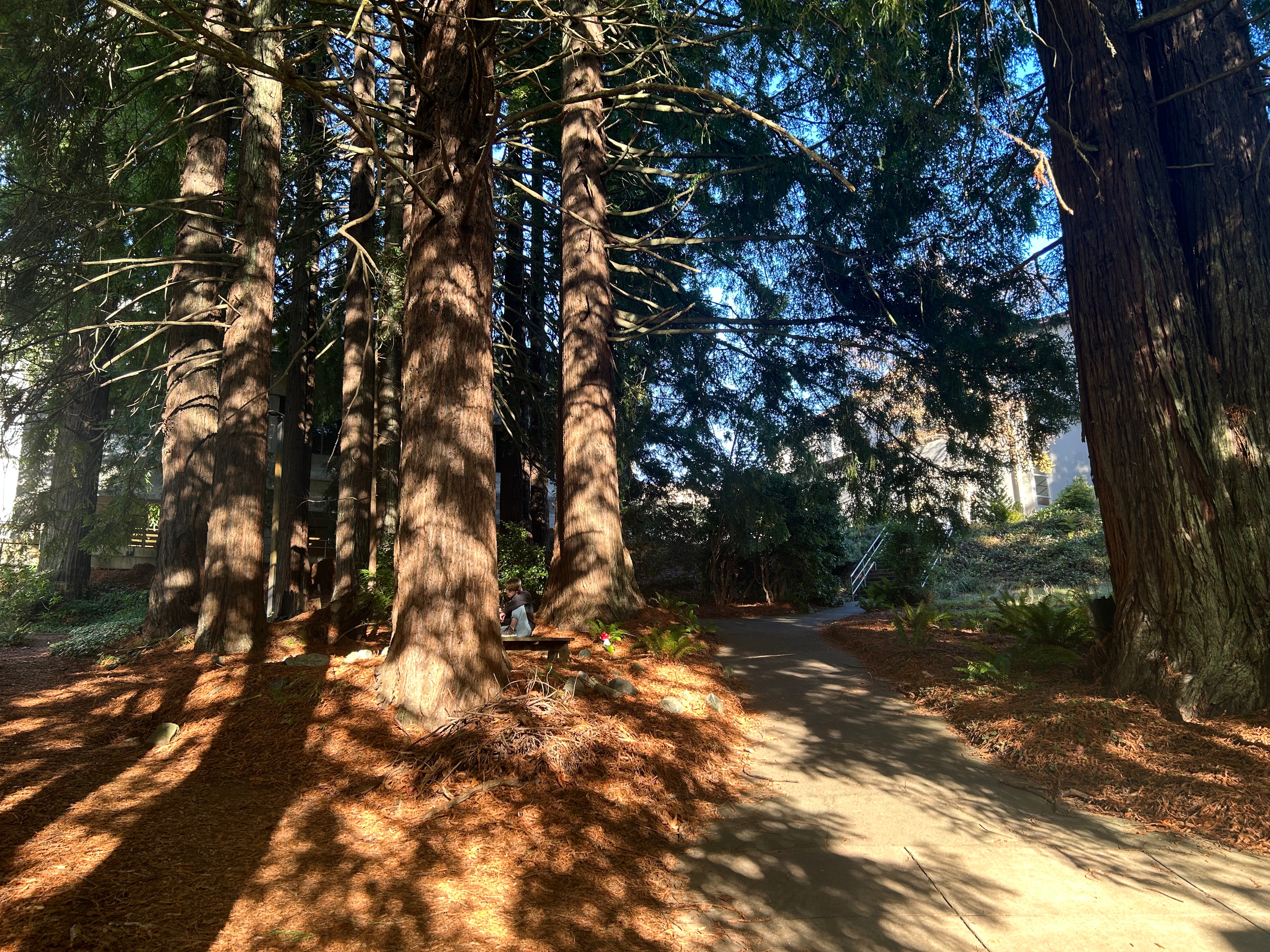 Campus needs more native plants