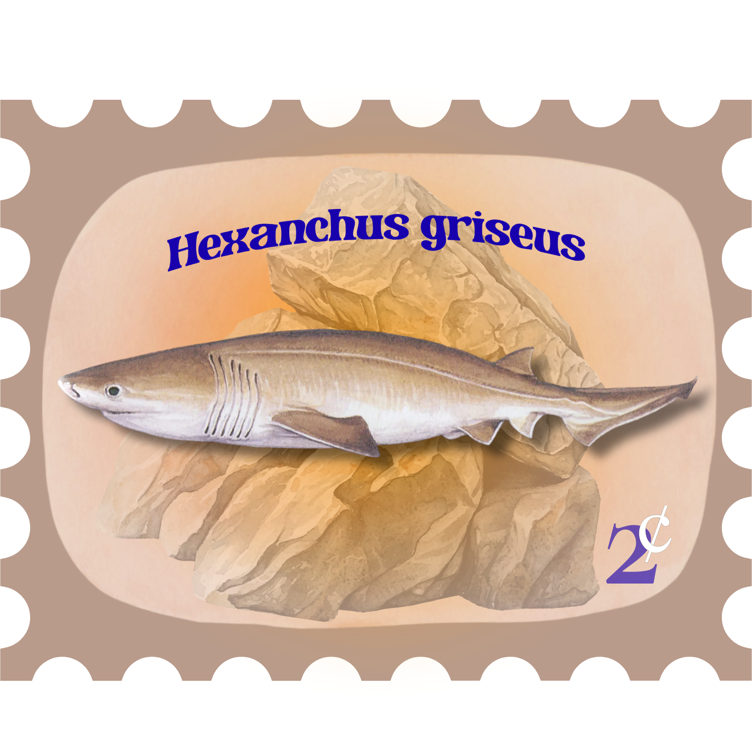 Fish of the Week: Cow Sharks