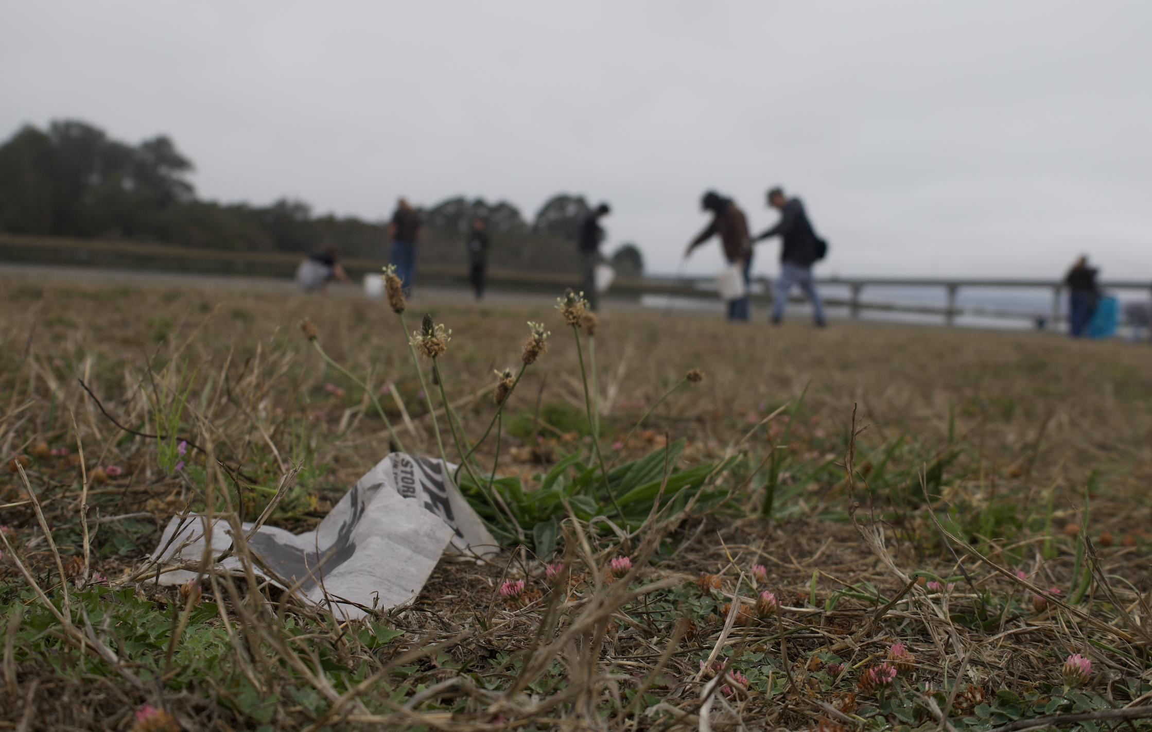 Community cleans up the coast big time